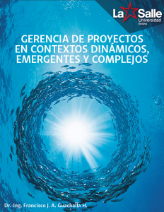 GERENCIA DE PROYECTOS EN CONTEXTOS DINAMICOS GERENCIA DE PROYECTOS EN CONTEXTOS DINAMICOS