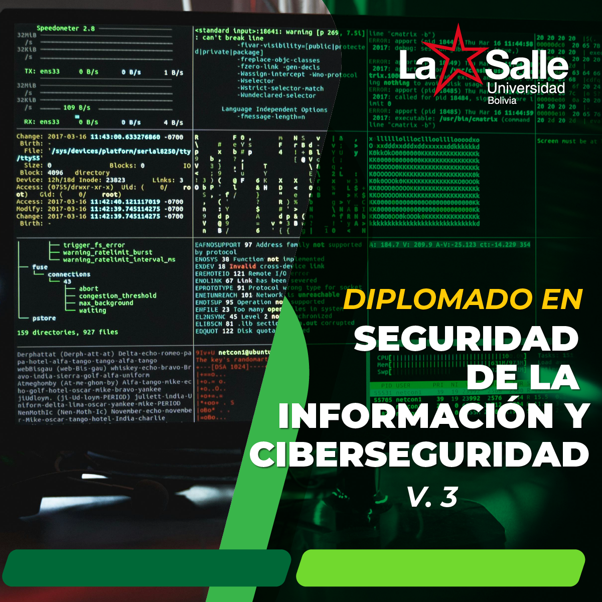 Diplomado en Seguridad de la Información y Ciberseguridad