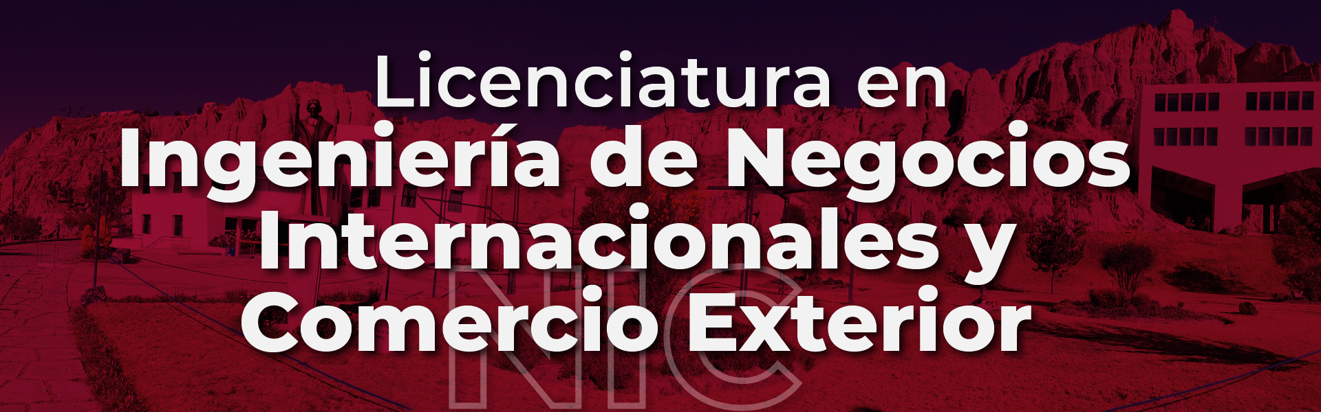 BANNER 2021_NIC-20