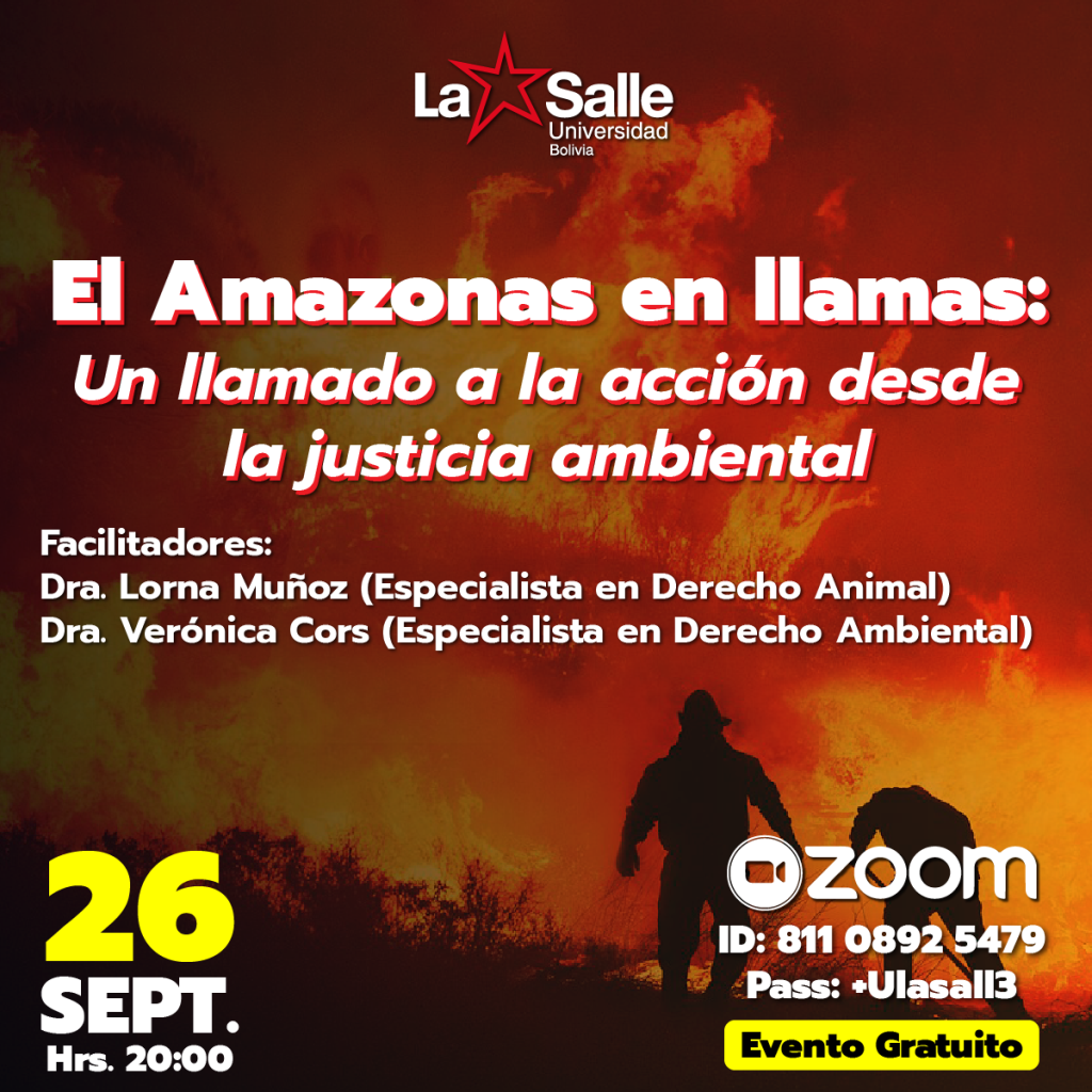 El Amazonas en llamas